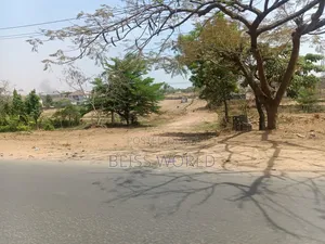 Very Strategic Located 2.5hec Garden Land in Jabi