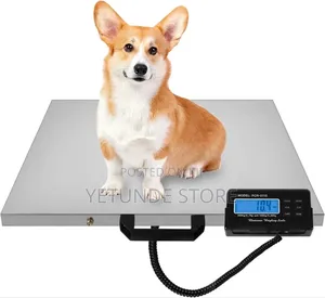 Veterinary Pet Scale Stainless Steel Platform Animal Scale