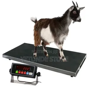Movable/Portable PET Scale
