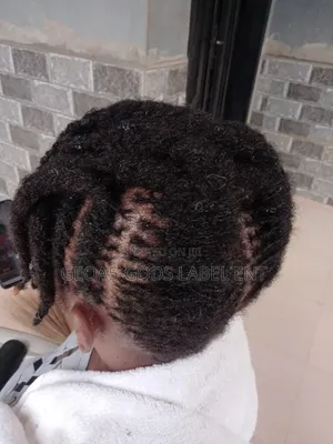 Mobile Service For Natural Dreadlocs Training