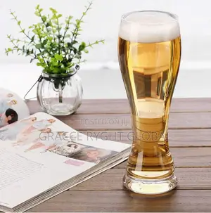 6pcs Ocean Imperial Beer Glass Cup