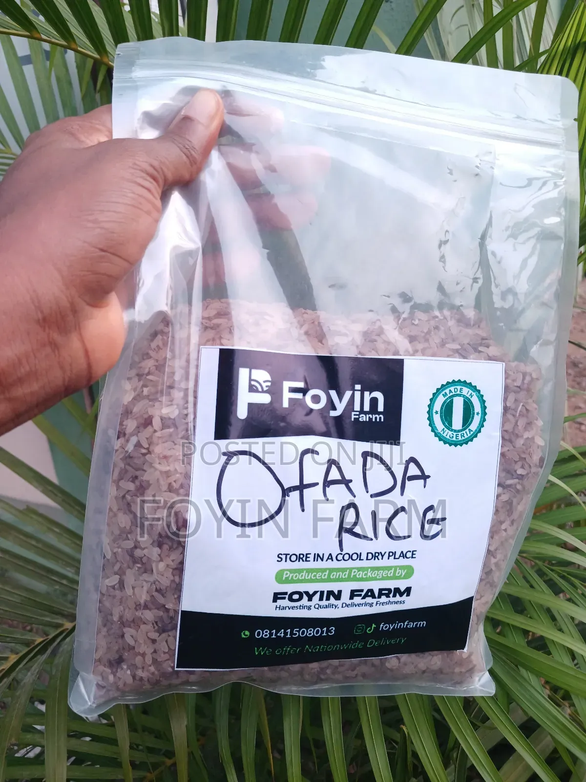 Ofada Rice