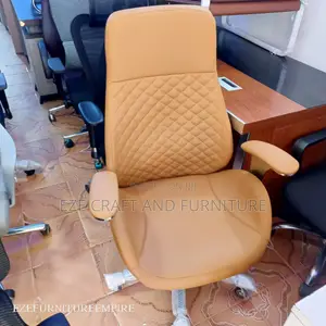 Office Chair for Director