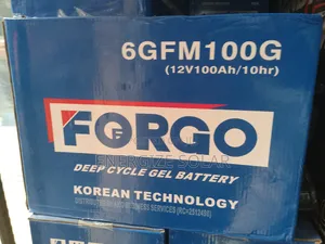 100ah Forgo Deep Cycle Gel Battery