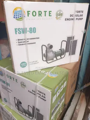 Forte Solar Water Pump