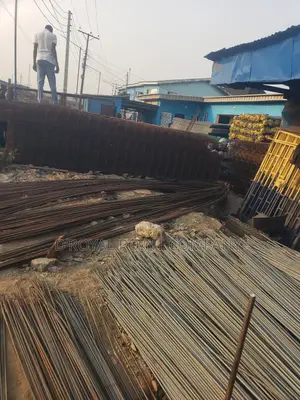 Iron Rod Both Tmt&Lcl