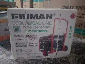 Firman Ecological 3kva Generator Eco3990es