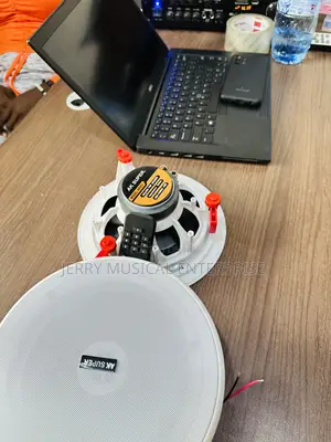 50watts 2in1bluetooth Ceiling Speakers With Remote Control