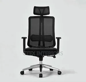 Office Net Chair