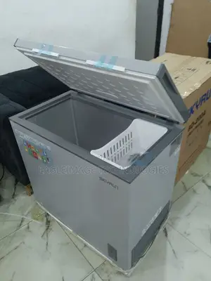 Low-Noise Skyrun 200l Chest Freezer(Bd-200a)