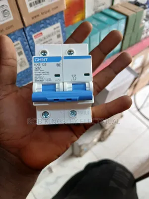 125a 2pole MCB Chint