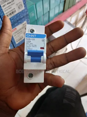 125a 1pole MCB CHNT