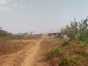 20 Plots of Land in a Developing Estate
