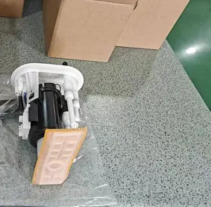 Complete Fuel Pump Santafe 1999-2004