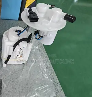 Conplete Fuel Pump Elantra 2012-2015