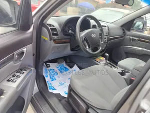 Hyundai Santa Fe GLS 2010 Gray