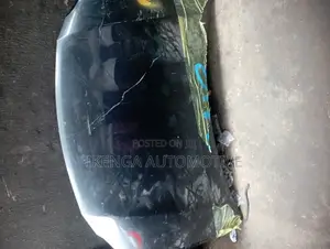 Front Bonnet Rx350 2010-2015.