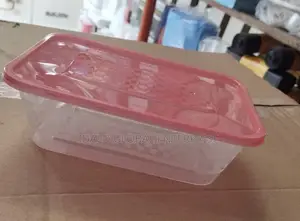 Takeaway Plastic Plate - 100pcs