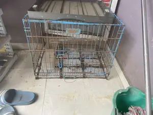 Used Cages for Lhasa or Eskimos