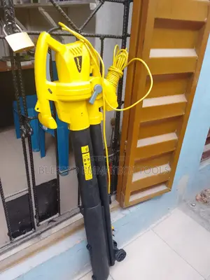 Electric Vacuum Cleaner