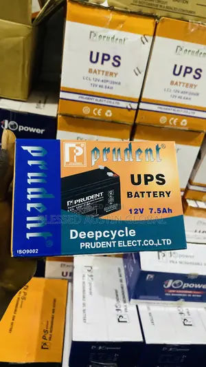 Prudent Deep Cycle Battery