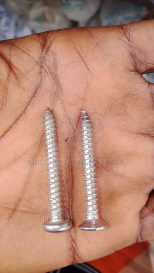 Stainless Steel Screw M4 by 4mm Long