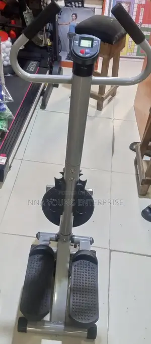 Standing Mini Stepper With Twister