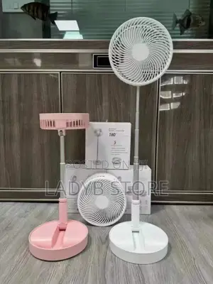 Rechargeable Fan
