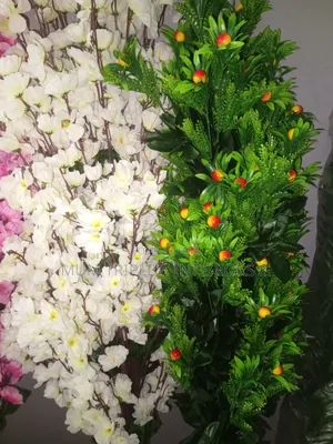 Artificial Plants