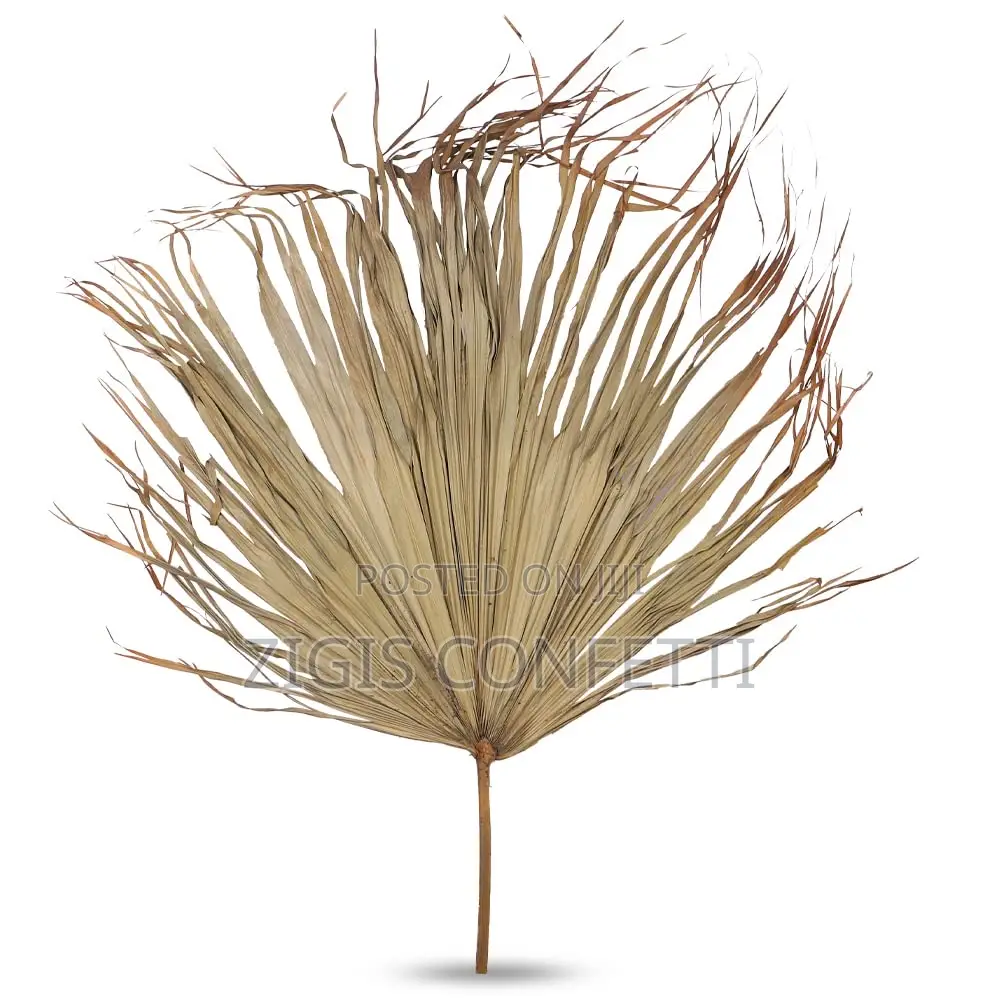 Dried Palm