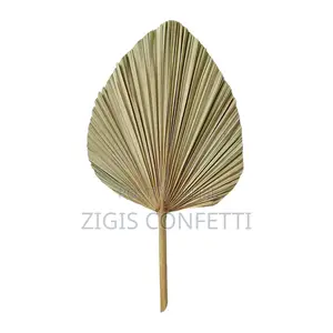 Dried Palm Cut