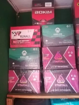 Original Batteries for All Vechile