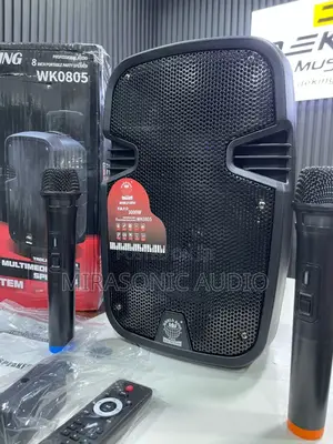 World King 8 Inches Rechargeable Wireless Pa System