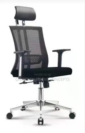 Executive Office Net Chair
