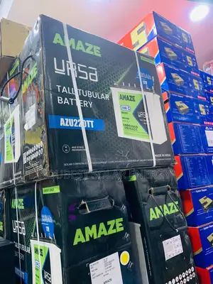 220 Amaze Tubular Batteries