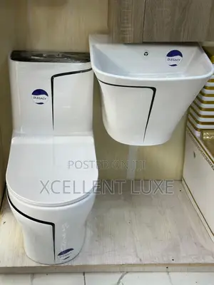 Executive Water Closet With Wall Hung Basin