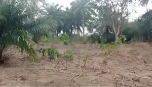 3000acres of Farmland at Ikire Town