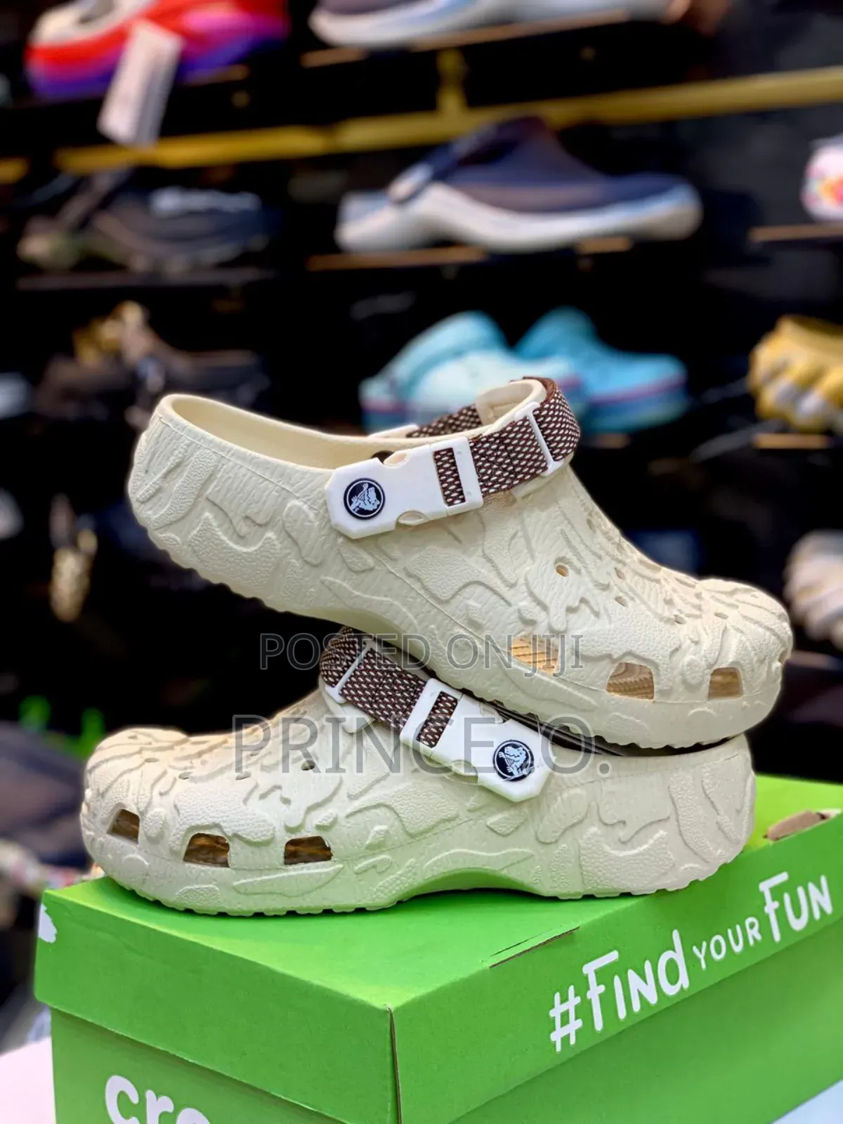 All -Terrine Crocs