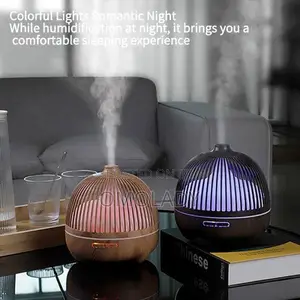 Birdcage Aroma Diffuser With 7 Led Light