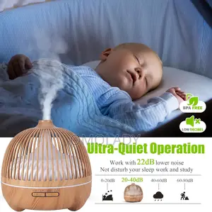 Birdcage Aroma Diffuser With 7 Led Light