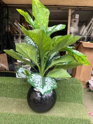 Indoor/Outdoor Fibre Vase and Plant
