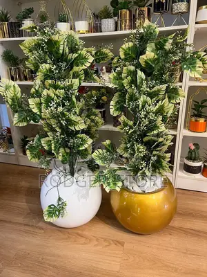 Round Fiber Pot With Plant . Beautiful Fiber Pot