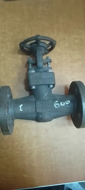 Globe Valve Flanged Valve 1”