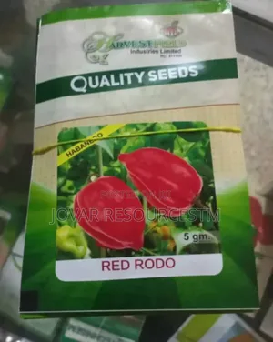 Best Hot Pepper Scotch Bonnet Ata Rodo Habanero Seed Seedlng