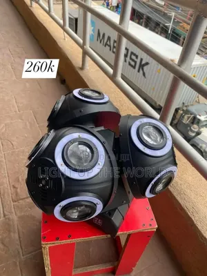 Adjustable Security Light