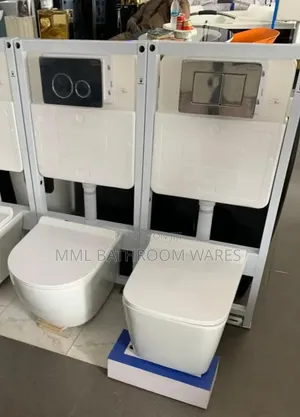 White Wall Hung Wc With Conceal Tank.
