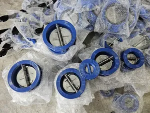 Butterfly Check Valve