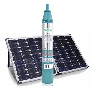 Submersible Solar Pump (With Panel)