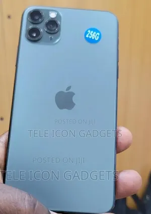 Apple iPhone 11 Pro Max 256 GB Gray