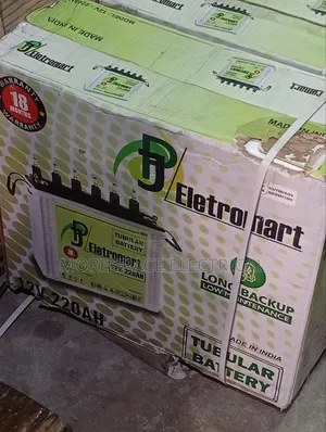 220a Single Inverter Battery